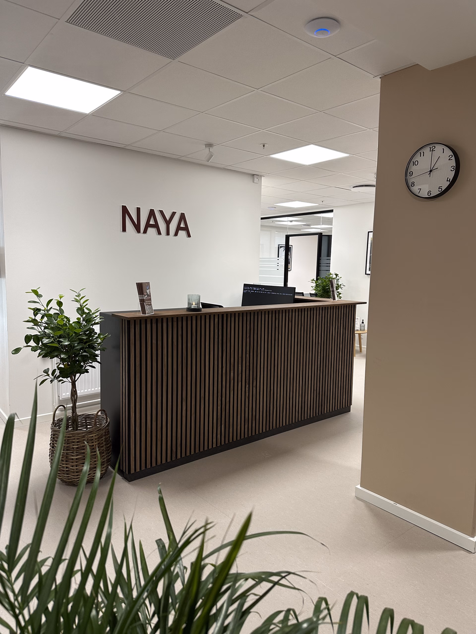 Disken hos Naya med grønne planter og brochurer